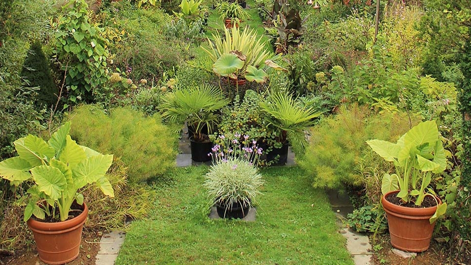 landscape-architecture-2.jpg
