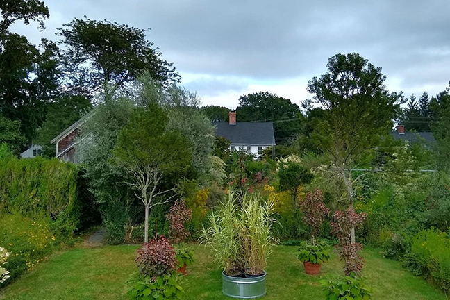 Louis Raymond Design, Hopkintona landscape designer and expert gardener, transforming properties all over the world into breathtaking landscapes. Plus a gorgeous, mystical personal garden - Louis's research lab and creative escape!